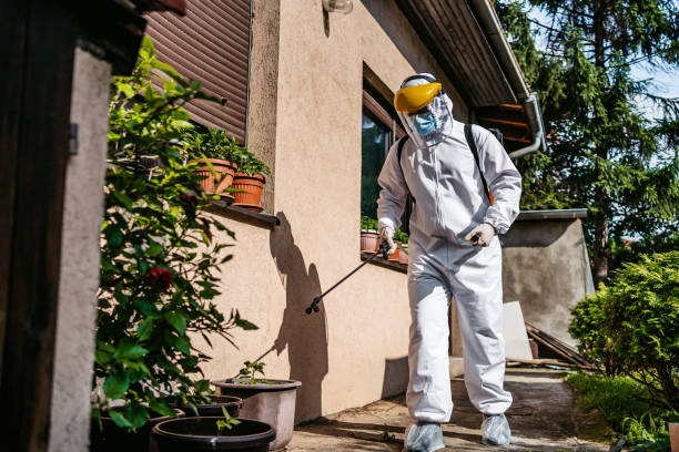 Flea Control Services in Catlettsburg, KY