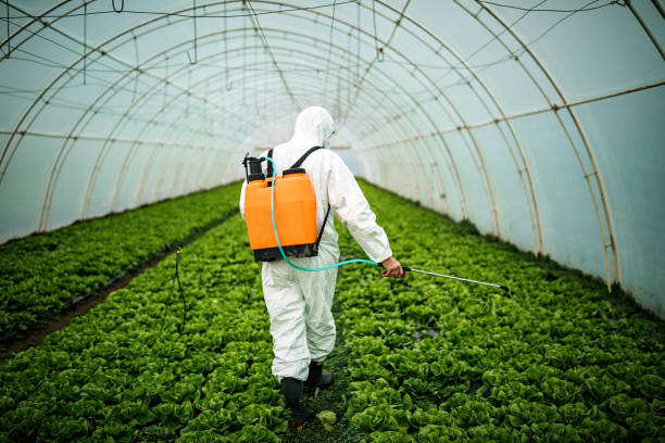 Best Pest Control Near Me  in Catlettsburg, KY