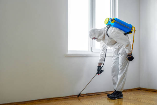 Wasp Removal Services in Catlettsburg, KY