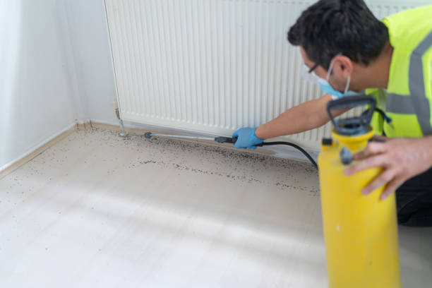 Best Local Pest Control Services  in Catlettsburg, KY